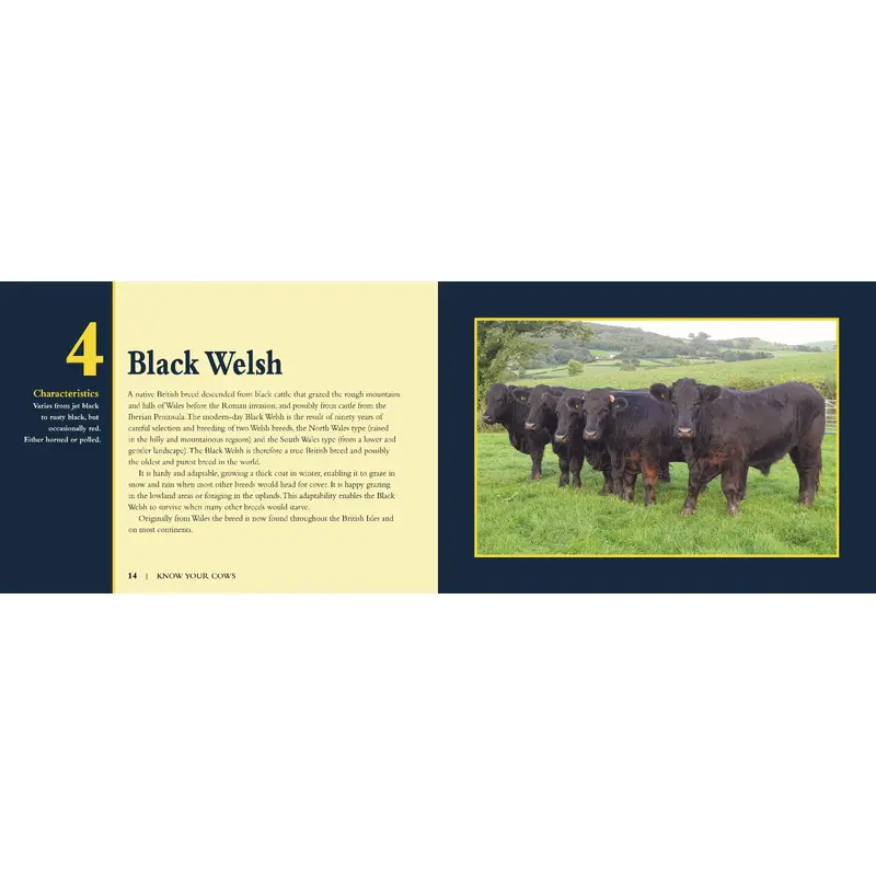 Know Your Cows