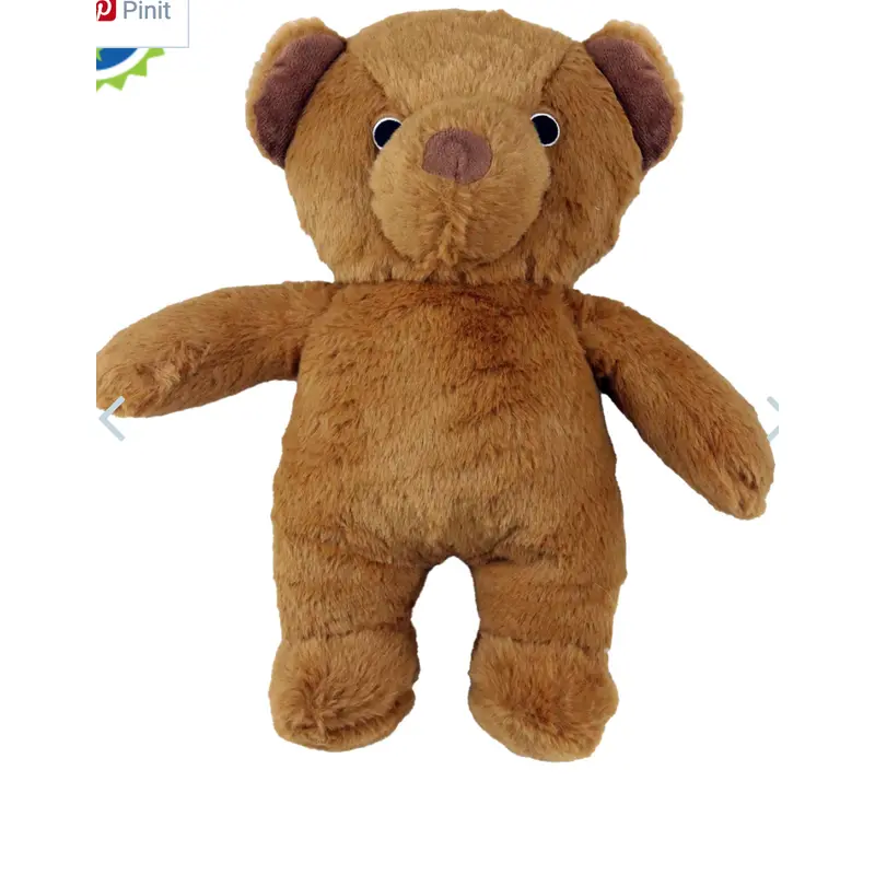 Dog Star Roosevelt the Bear