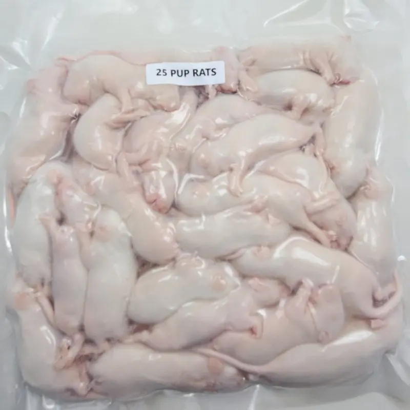 Perfect Prey Frozen Rat Pups