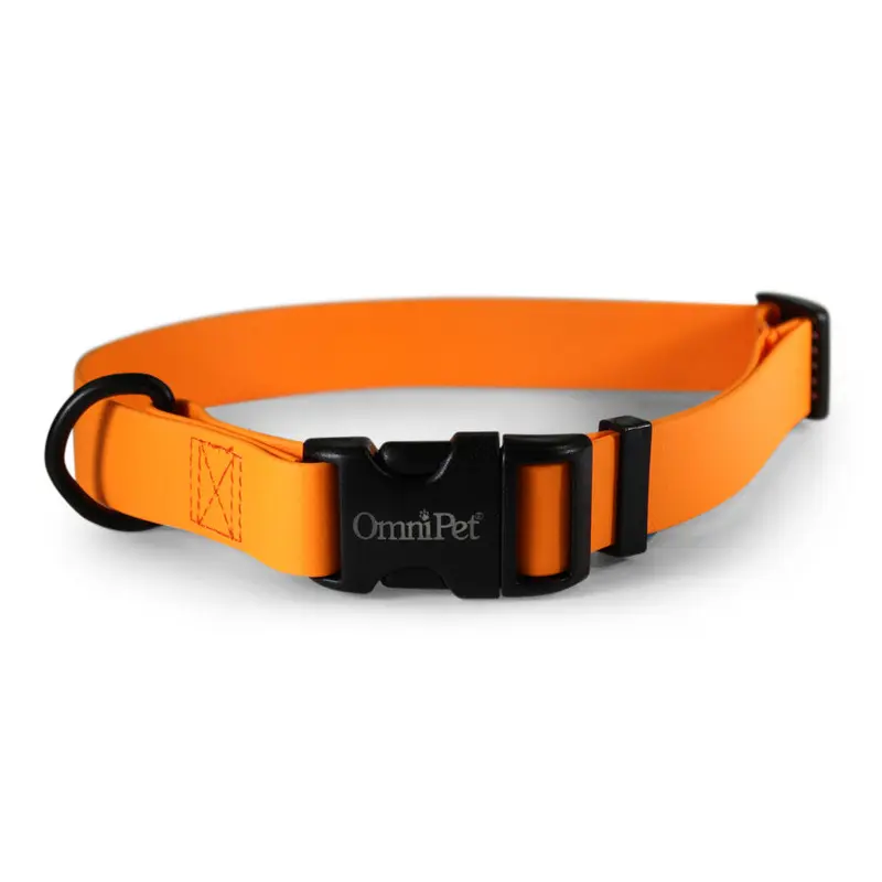 Tangerine Carnival Biothane Dog Collar / Lead