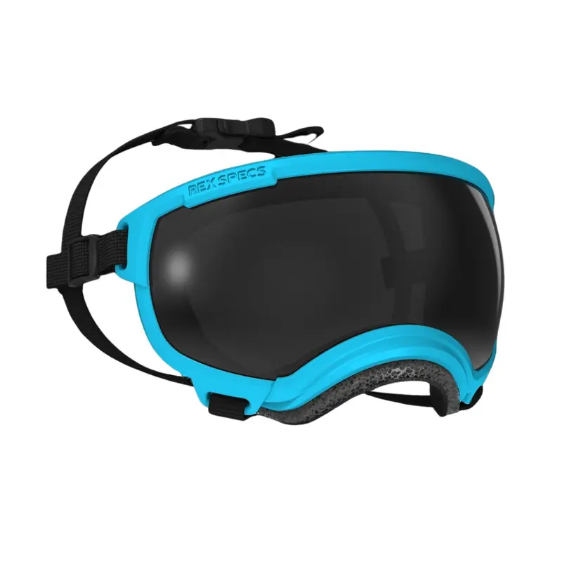 Rex Specs Goggles for Dogs - V2 Small Big Horn Blue