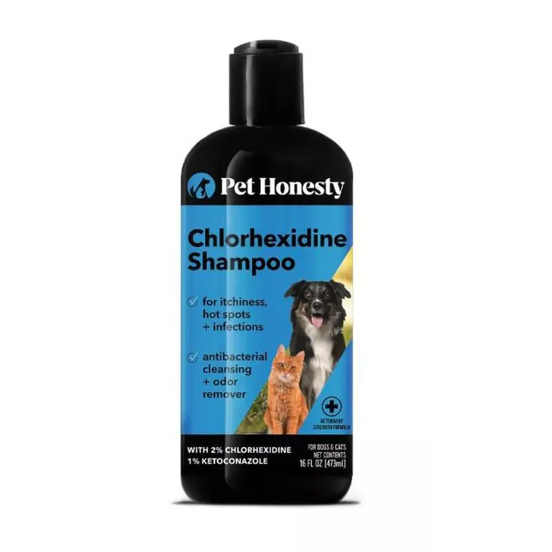Pet Honesty Chlorhexidine Dog & Cat Shampoo 16 oz