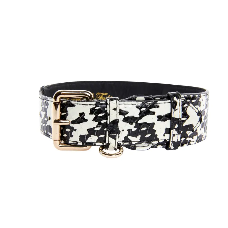 Black & White Snake Collar With Classic Gold Hardware
