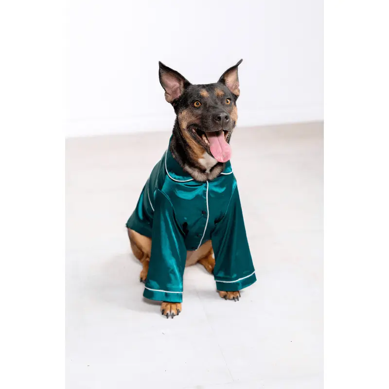 Georgina Pet Pajama Set