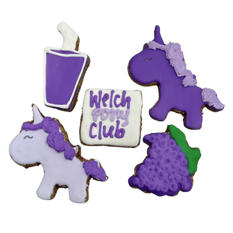 Welch Pony Club