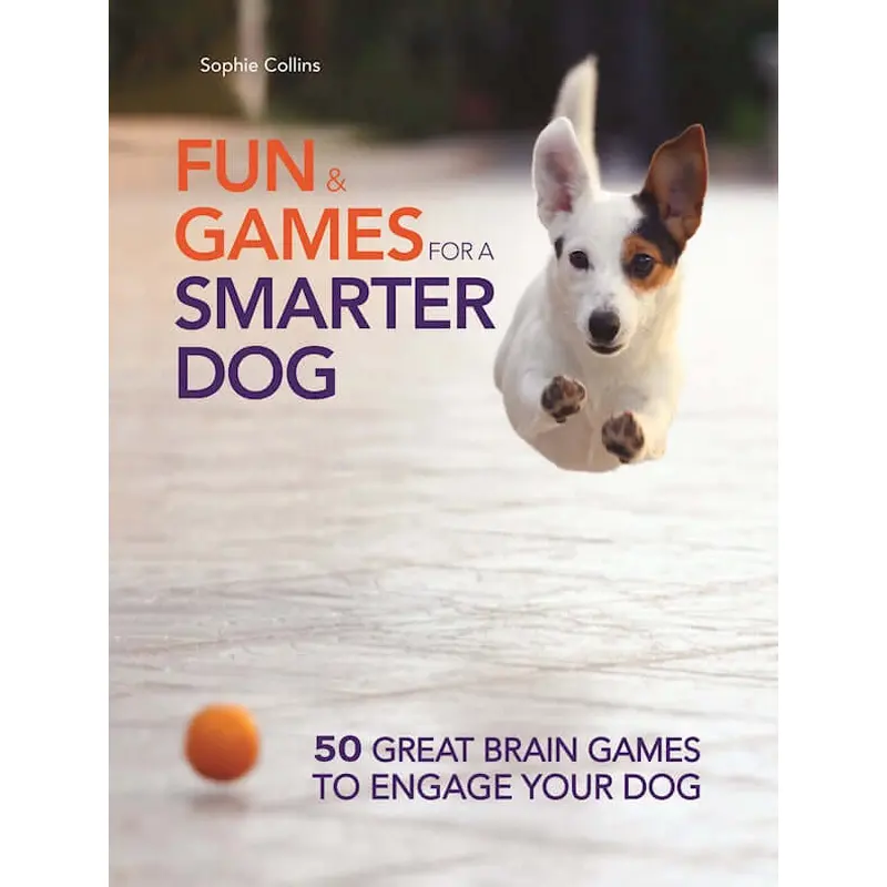 Fun & Games for a Smarter Dog