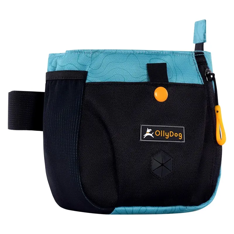 Olly Dog Backcountry Odyssey Blue Day Bag for Dogs