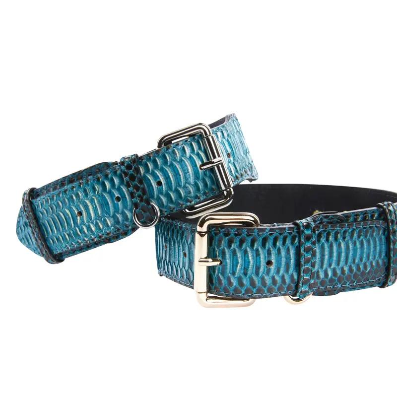 Turquoise, Black Snake Classic Collar With Silver & Gold Classic Hardware Set Of 2